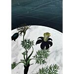 Poster, Flora Danica IIII thumbnail