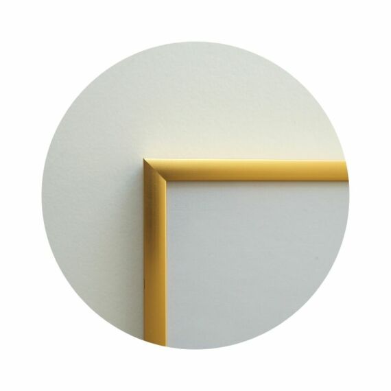 Goldener Aluminiumrahmen, matt, schmal, 30 x 42 cm (A3) - Typ 9043
