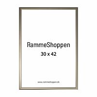 Aluminiumrahmen, Champagne, schmal, 30 x 42 cm (A3) – Typ 9042