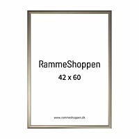 Aluminiumrahmen, Champagne, schmal, 42 x 60 cm (A2) – Typ 9042