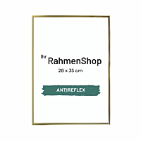Reflexfreier goldener Aluminiumrahmen, glänzend, schmal, 28 x 35 cm - Typ 9012