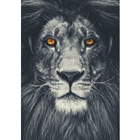 Poster, Bright yellow eyes