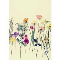 Poster, From the bliss