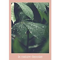 Poster, La nature