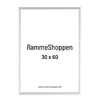 Silberner Aluminiumrahmen, matt, schmal, 30 x 60 cm - Typ 670