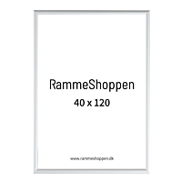 Silberner Aluminiumrahmen, matt, schmal, 40 x 120 cm – Typ 670 