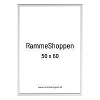 Silberner Aluminiumrahmen, matt, schmal, 50 x 60 cm – Typ 670 