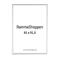 Silberner Aluminiumrahmen, matt, schmal, 61 x 91,5 cm – Typ 670 