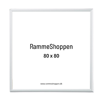 Silberner Aluminiumrahmen, matt, schmal, 80 x 80 cm – Typ 670 